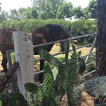 Πανσιόν Terre De Boheme